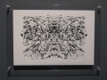 mole-traces-framed