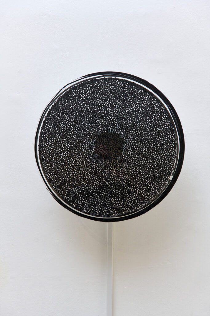 The Phantom Resonance, 2025, Vinyl, Plexiglas and Electronic System, 38_5x38_5 cm