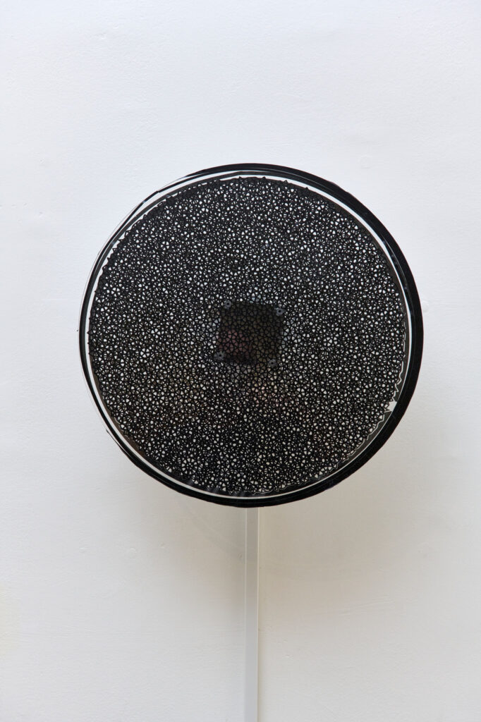 The Phantom Resonance, 2025, Vinyl, Plexiglas and Electronic System, 38_5x38_5 cm