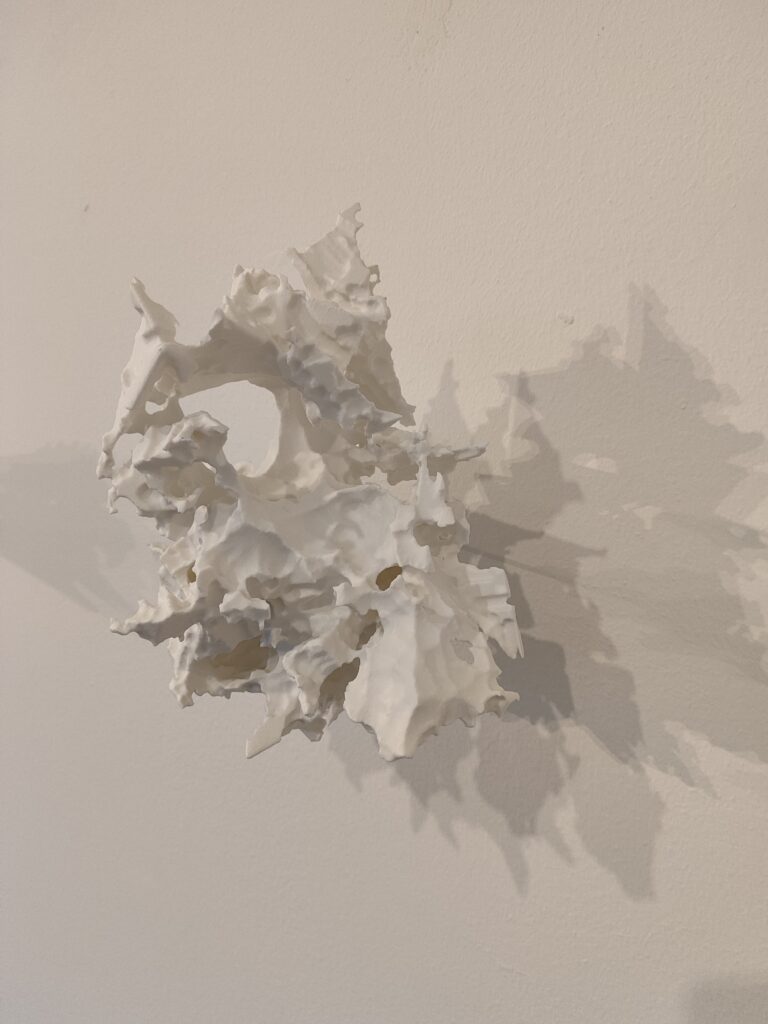 117806